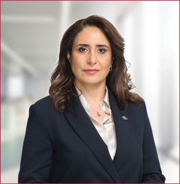 DİDEM BAHAR ÖZGÜN YILMAZ